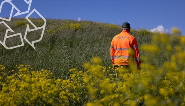 En man från Ragn-Sells i varseljacka som går på ett fält av raps