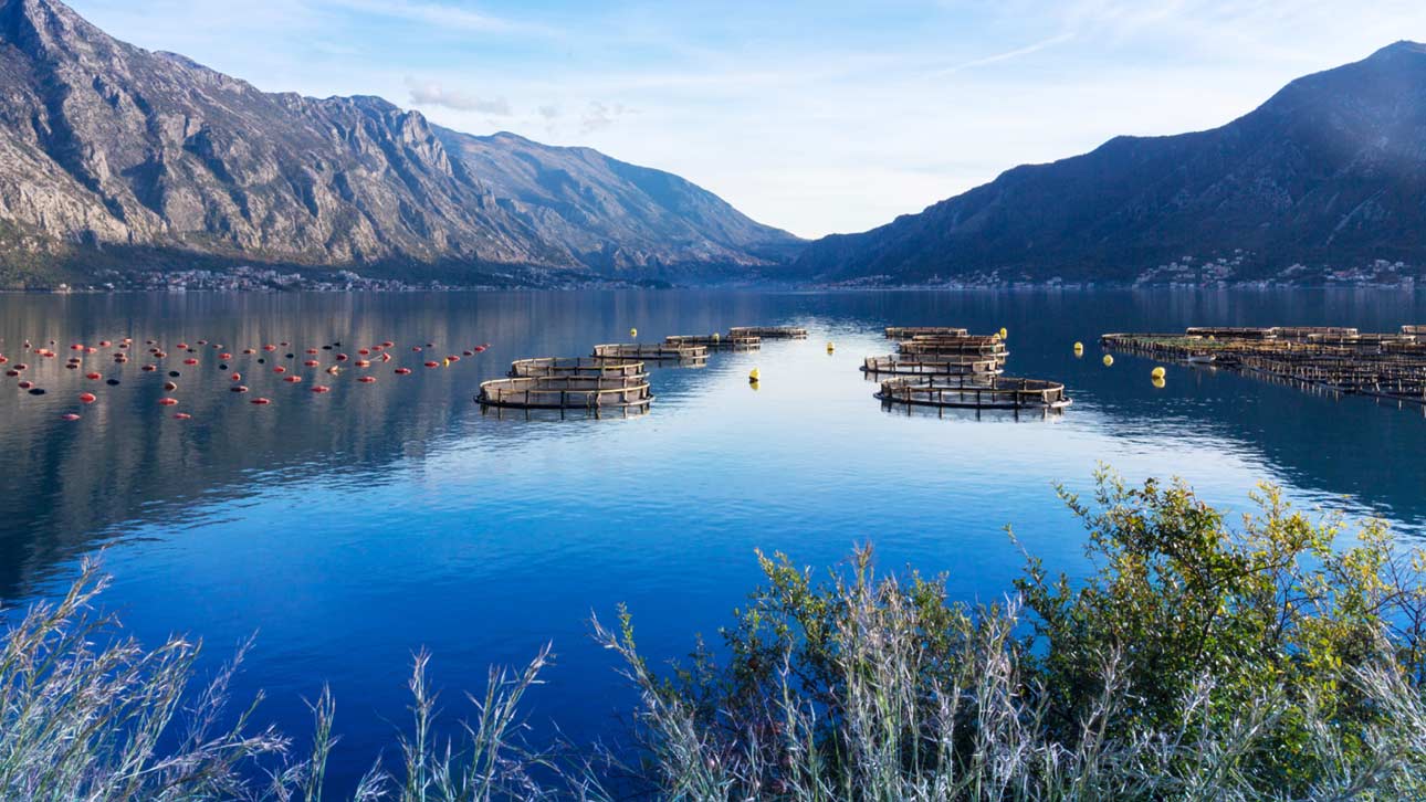Fiskodlingsanläggningar i Norge 