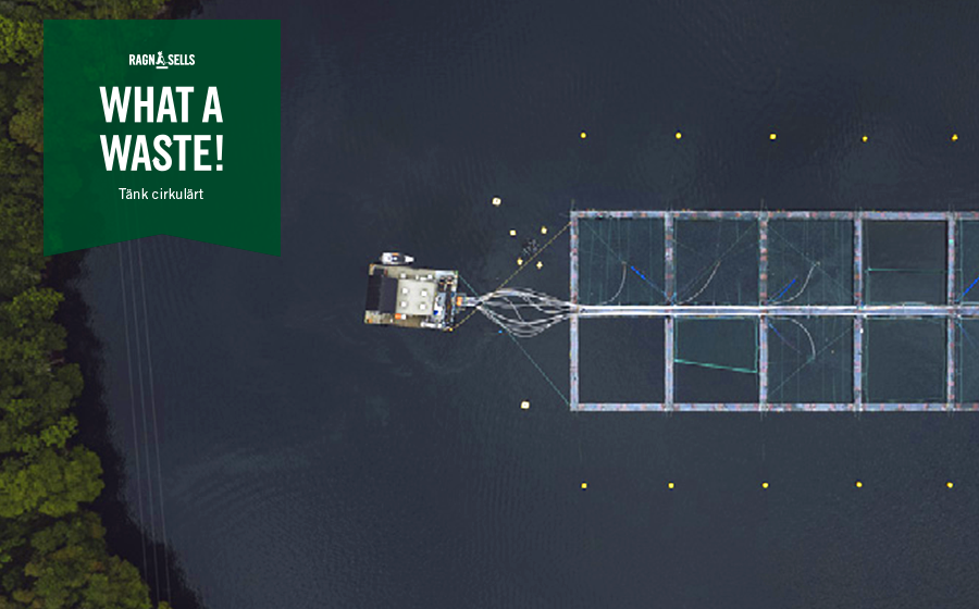 En drönarbild rakt ovanför ett hav och fiskeodling med texten what a waste