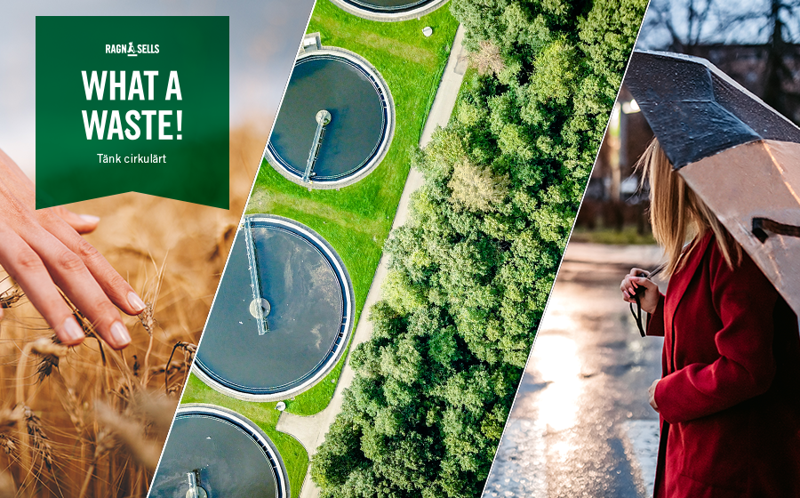 en blandning av olika bilder från natur, en människa, skog och grödor med texten What a waste